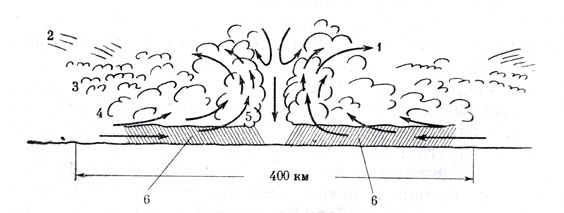 Рис. 2. Схема циркуляции потоков воздуха в тропическом циклоне. 1 - направление потоков воздуха. Облака: 2 - перистые; 3 - высокие кучевые; 4 - слоистые дождевые; 5 - кучевые дождевые; 6 - зона дождей