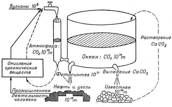  Рис. 23. Гидродинамическая модель обмена С0sub2/sub между атмосферой и океаном и углеродный цикл. 
