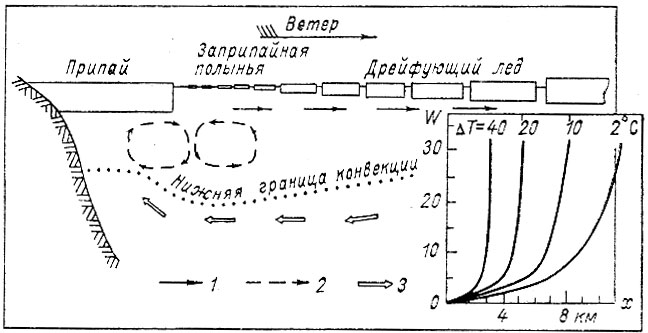 Рис. 38. Схема заприпайной полыньи и зависимость ее ширины х (км) от разности температур вода - воздух ΔT скорости ветра w (м/с) (по К. Д. Сабинину, 1960, и В. Л. Лебедеву, 1968). 1 - ветровая составляющая течения, 2 - составляющая, обусловленная горизонтальным градиентом плотности, вызванным неравномерностью образования льда и осолонения, 3 - компенсационное течение.