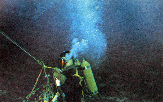 Сейчас подводник даст сигнал на катер - и корзина с образцами собранных кораллов двинется к поверхности. Фото М. Проппа