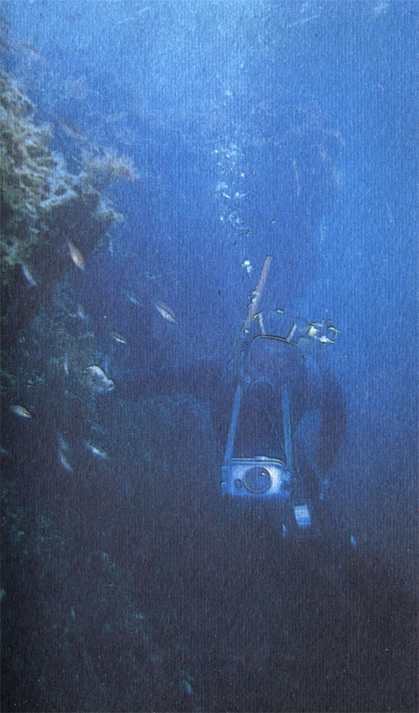 В чертогах Нептуна можно без устали путешествовать в поисках интересных кадров. Фото Г. И. Зеленина