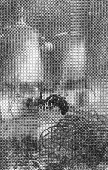Подводная лаборатория 'Тектайт' похожа скорее на космический, чем на подводный аппарат