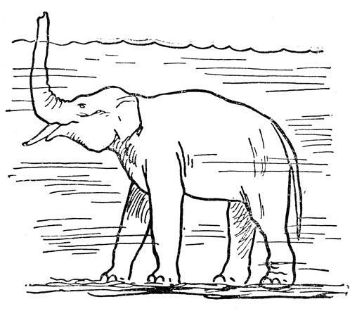 Слон, переходящий реку (по античному рисунку)